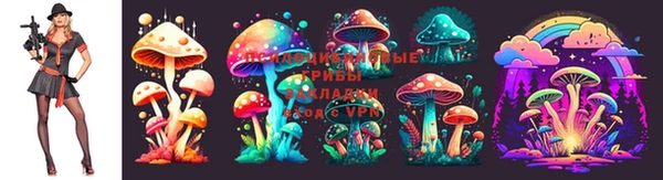 марки lsd Кодинск