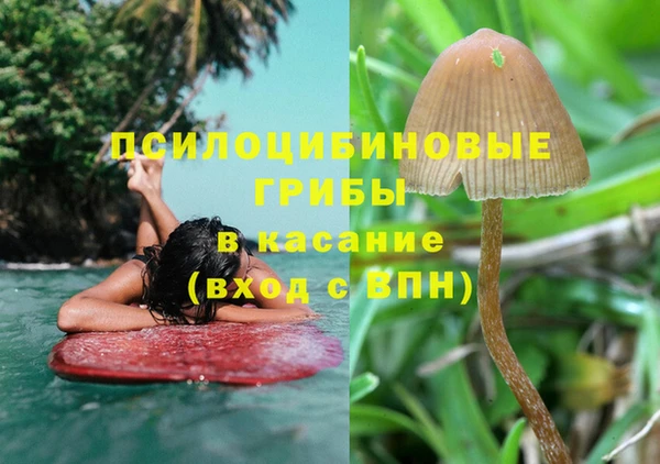 кокаин премиум Козловка