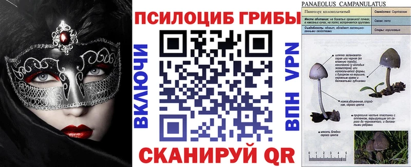 Купить  Белореченск  Галлюциногенные грибы мухоморы 